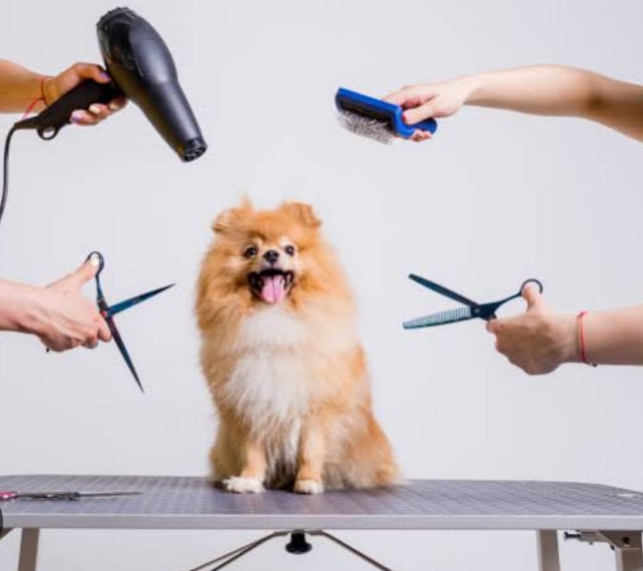 WhatsApp Image 2025-08-29 at 15.59.04.jpeg